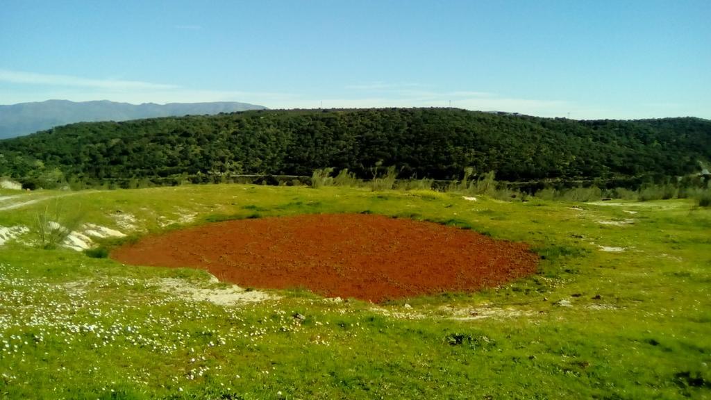 Apartamento O Casa Rural Roquemar Guijo de Granadilla Luaran gambar